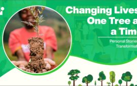 Changing Lives, One Tree at a Time: Personal Stories of Transformation