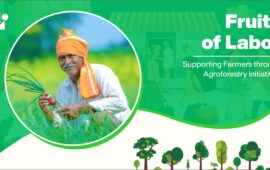 Fruits of Labor: Supporting Farmers through Agroforestry Initiatives