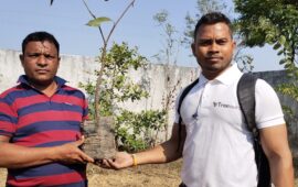 Tree Plantation Drive Story – How Treewards helped Raju Singh Markaam