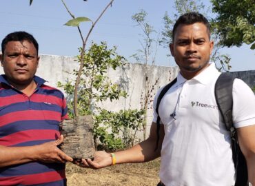 Tree Plantation Drive Story – How Treewards helped Raju Singh Markaam
