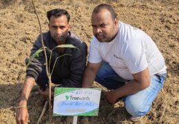 Tree Plantation Drive Story 3 – How Treewards helped Bunel Patel