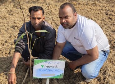 Tree Plantation Drive Story 3 – How Treewards helped Bunel Patel