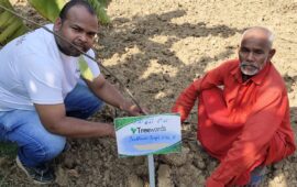 Tree Plantation Drive Story 5 – How Treewards helped Budhwar Singh Ji