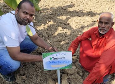 Tree Plantation Drive Story 5 – How Treewards helped Budhwar Singh Ji