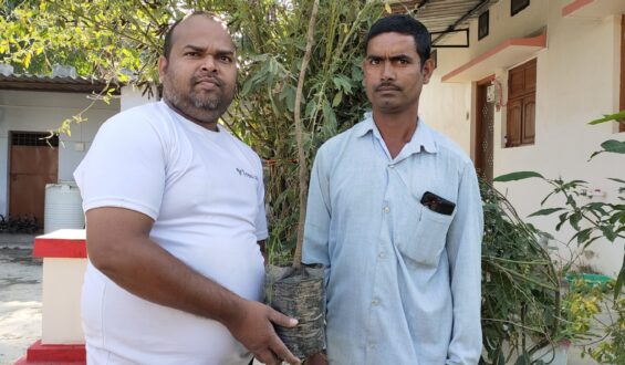Tree Plantation Drive Story 8 – How Treewards helped Sukalu Ram Patel