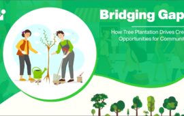 Bridging Gaps: How Tree Plantation Drives Create Opportunities