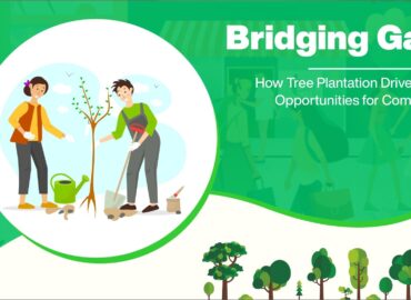 Bridging Gaps: How Tree Plantation Drives Create Opportunities