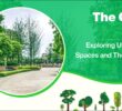 The Green Wave: Exploring Urban Green Spaces and Their Benefits