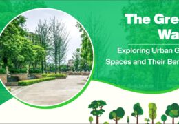 The Green Wave: Exploring Urban Green Spaces and Their Benefits