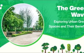 The Green Wave: Exploring Urban Green Spaces and Their Benefits