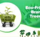 Top Eco-Friendly Brands on Treewards: A Guide