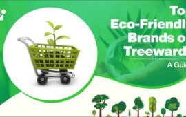 Top Eco-Friendly Brands on Treewards: A Guide