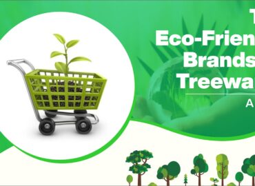 Top Eco-Friendly Brands on Treewards: A Guide