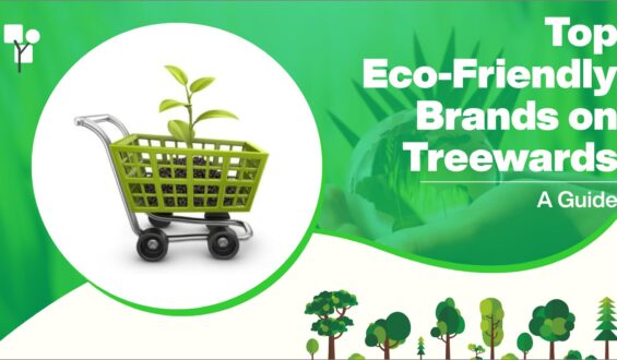 Top Eco-Friendly Brands on Treewards: A Guide