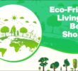 Eco-Friendly Living Tips Beyond Shopping
