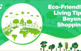 Eco-Friendly Living Tips Beyond Shopping