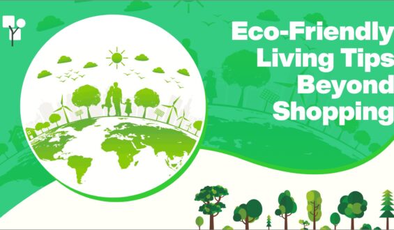 Eco-Friendly Living Tips Beyond Shopping