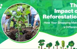 The Impact of Reforestation: How Your Shopping Makes a Difference