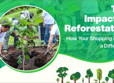 The Impact of Reforestation: How Your Shopping Makes a Difference
