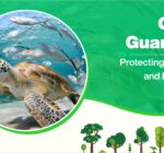 Ocean Guardians: Protecting Marine Life and Ecosystems