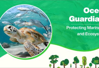 Ocean Guardians: Protecting Marine Life and Ecosystems