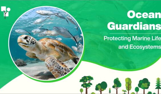 Ocean Guardians: Protecting Marine Life and Ecosystems