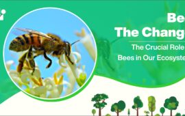 Bee the Change: The Crucial Role of Bees in Our Ecosystem