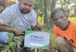 Tree Plantation Drive Story 10 – How Treewards aided Dashrath Kumar