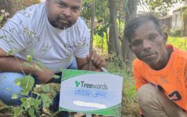 Tree Plantation Drive Story 10 – How Treewards aided Dashrath Kumar