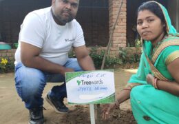 Tree Plantation Drive Story 11 – How Treewards helped Jyoti Nishad