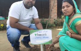 Tree Plantation Drive Story 11 – How Treewards helped Jyoti Nishad