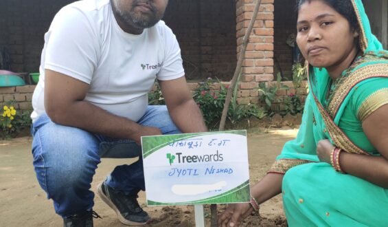 Tree Plantation Drive Story 11 – How Treewards helped Jyoti Nishad