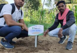 Tree Plantation Drive Story 13 – How Treewards helped Dev Kumar