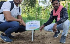 Tree Plantation Drive Story 13 – How Treewards helped Dev Kumar