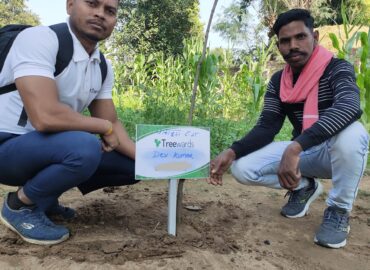 Tree Plantation Drive Story 13 – How Treewards helped Dev Kumar