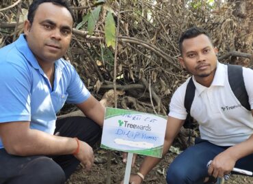 Tree Plantation Drive Story 14 – How Treewards contributed Dilip Kumar
