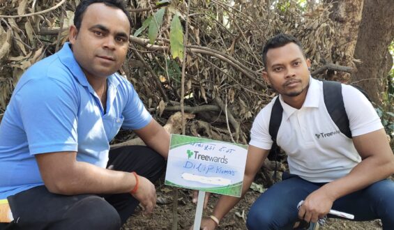 Tree Plantation Drive Story 14 – How Treewards contributed Dilip Kumar