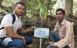 Tree Plantation Drive Story 15 – How Treewards aided Anil Patel