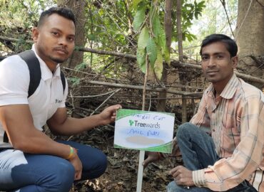 Tree Plantation Drive Story 15 – How Treewards aided Anil Patel
