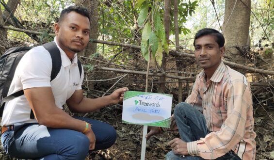 Tree Plantation Drive Story 15 – How Treewards aided Anil Patel