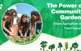 The Power of Community Gardens: Urban Agriculture and Food Security