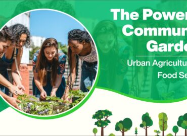 The Power of Community Gardens: Urban Agriculture and Food Security