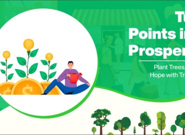 Turn Points into Prosperity: Plant Trees, Harvest Hope with Treewards