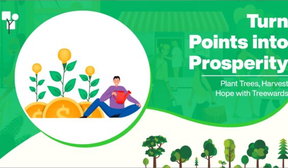 Turn Points into Prosperity: Plant Trees, Harvest Hope with Treewards