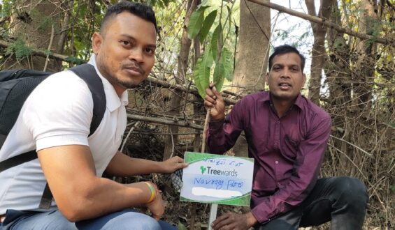 Tree Plantation Drive Story 16 – How Treewards contributed Navrang Patel