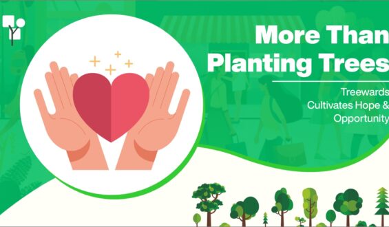 More Than Planting Trees: Treewards Cultivates Hope and Opportunity