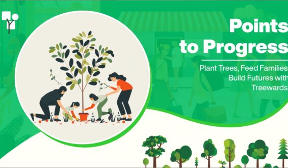 Points to Progress: Plant Trees, Feed Families, Build Future with Treewards