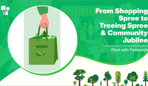 From Shopping Spree to Treeing Spree: Plant with Treewards