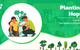 Planting Hope: How Each Tree Makes a Difference