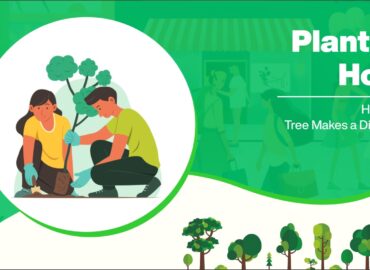 Planting Hope: How Each Tree Makes a Difference